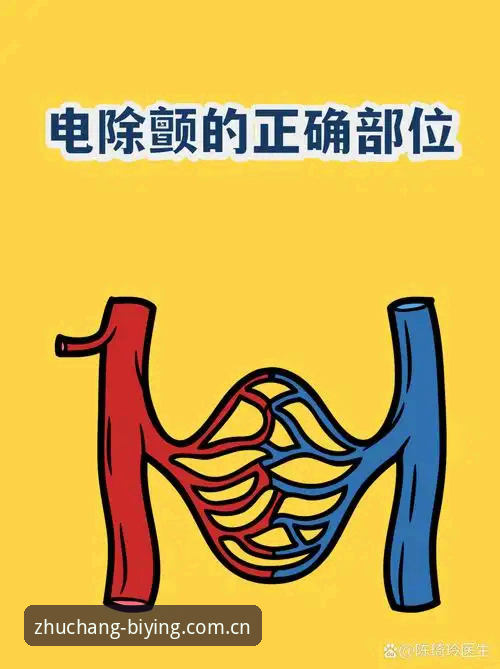 爱了五年的心脏除颤器又报警了：一个资深体育迷的现场体验与必赢体育此刻即主场CN使用心得